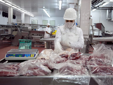 El conflicto sanitario entre Argentina y Chile deja en suspenso el comercio de productos animales en la Patagonia.