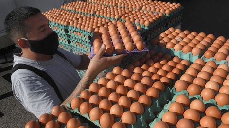 Los Andes | La ley plantearía una verdad a medias que pone en riesgo el trabajo de la mayoría de los empresarios del sector que hacen las cosas bien. / Foto Orlando Pelichotti.