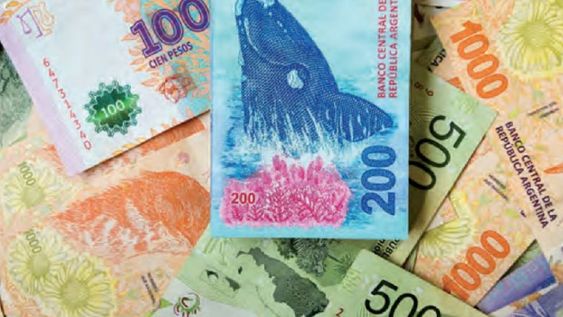 Anses coordina el pago de programas que permiten a los jóvenes encontrar empleo y adquirir habilidades para el trabajo, en puestos con altos salarios.