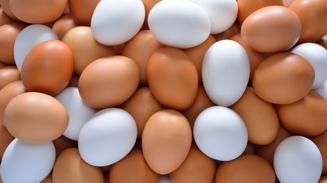 pocas personas lo saben: ¿cual es la diferencia entre los huevos blancos y los marrones?