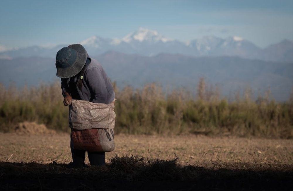Según un informe provincial, en la última temporada aumentó la concentración hortícola. Foto: Ignacio Blanco / Los Andes
