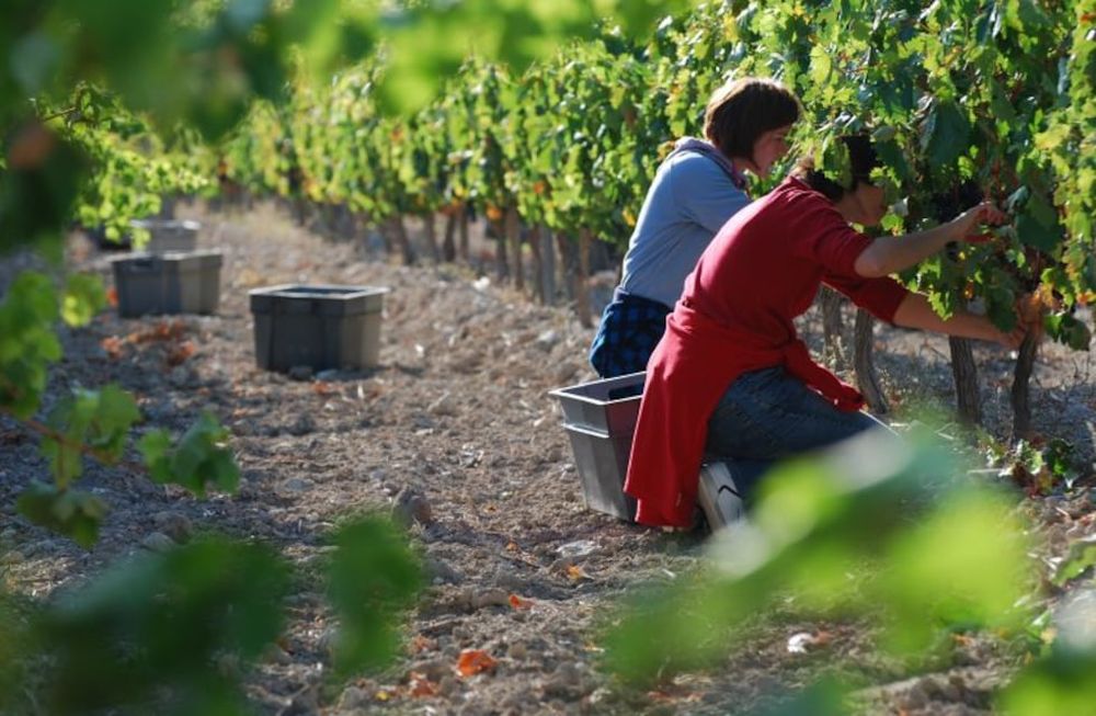 Necesitamos una reparación histórica y un volver a ver al trabajo como el único recurso que sacará adelante al país, sostienen desde el sector