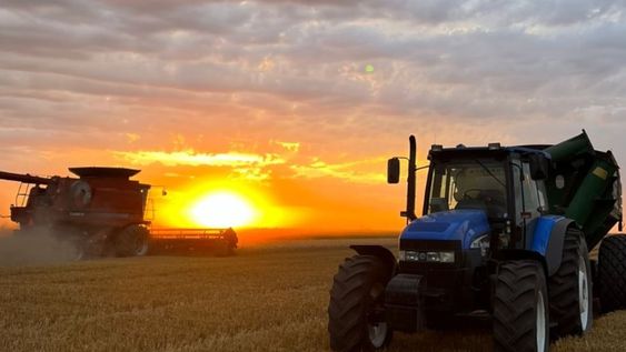 Los productores agropecuarios confían en que su rentabilidad mejorará en los próximos meses, por una mejor cosecha y las medidas implementadas por el Gobierno. Foto: La Voz