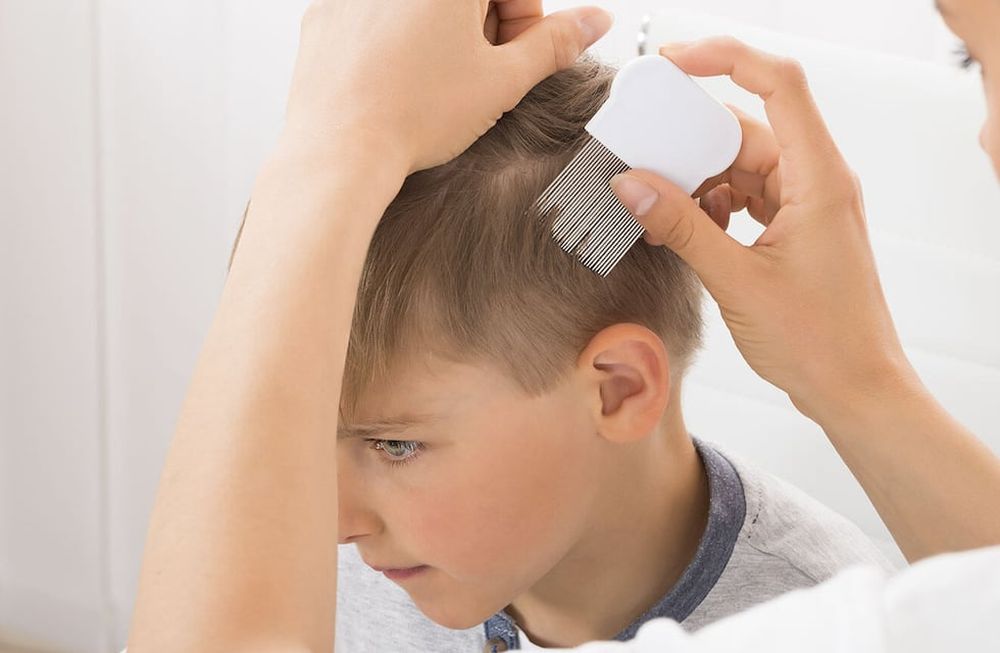 Comienzo de clases: ¡S.O.S. piojos!