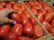 La Anmat prohibió la comercialización de una salsa de tomate elaborada en Maipú pero luego se rectificó.
