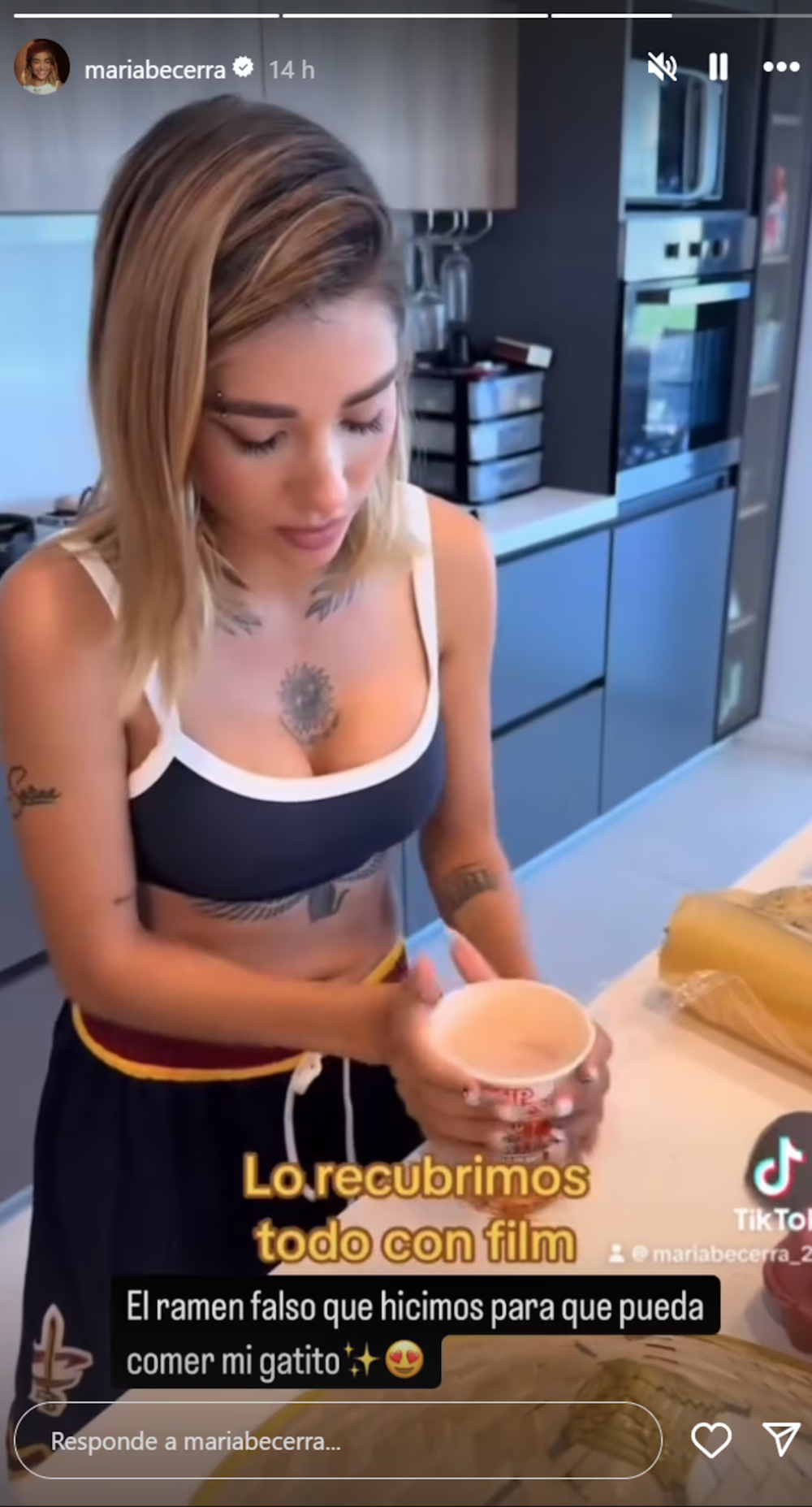 María Becerra le cocinó a su gato un falso ramen.