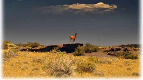 Mendoza enfrenta el cambio climático con políticas sustentables