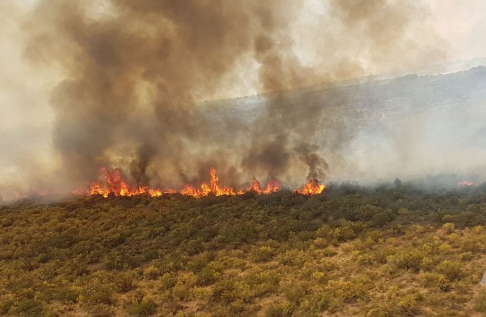 Incendios forestales. Foto: Secretaría de Ambiente de Mendoza.