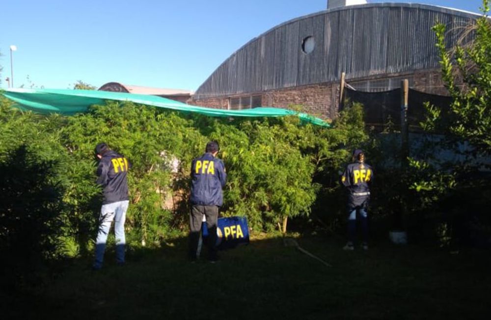 Un decomiso de la policía federal realizado por la policía federal en el sur provincial.