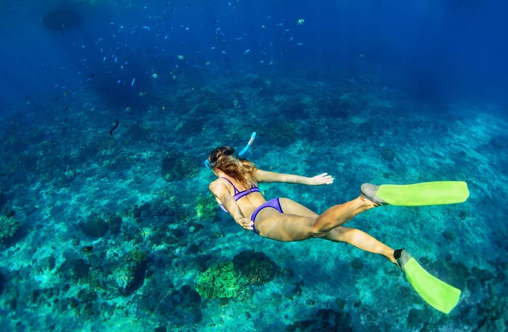 Las excursiones bajo el agua son las favoritas de quienes visitan Costa Mujeres. Se puede hacer snorkel entre delfines y peces tropicales, visitar un museo de arte subacuático y también la Cueva de los Tiburones Dormidos.