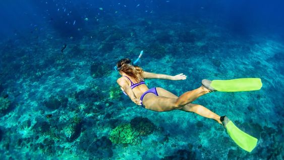 Las excursiones bajo el agua son las favoritas de quienes visitan Costa Mujeres. Se puede hacer snorkel entre delfines y peces tropicales, visitar un museo de arte subacuático y también la Cueva de los Tiburones Dormidos.