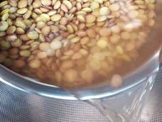 agua de lentejas en remojo: por que recomiendan no tirarla y para que sirve