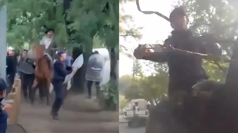 Ataque a rebencazos en El Bolsón: