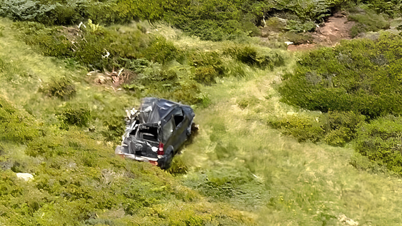 Animales alpinos empujaron un todoterreno y provocaron un accidente.&nbsp;
