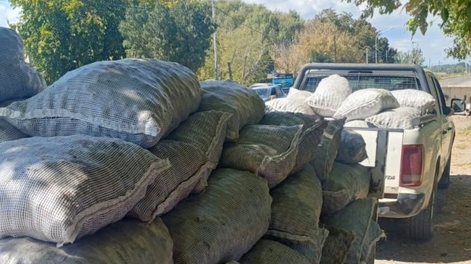 Robo de nueces en Tupungato: secuestraron casi 3 toneladas