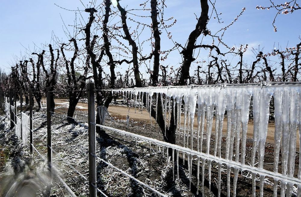 Las contingencias climáticas afectaron a miles de hectáreas y productores que aún esperan por la ayuda. Imagen: Claudio Gutiérrez / Los Andes