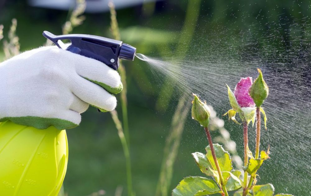 La fórmula permite aprovechar ingredientes que habitualmente se tiran a la basura o se necesitan para otras preparaciones.