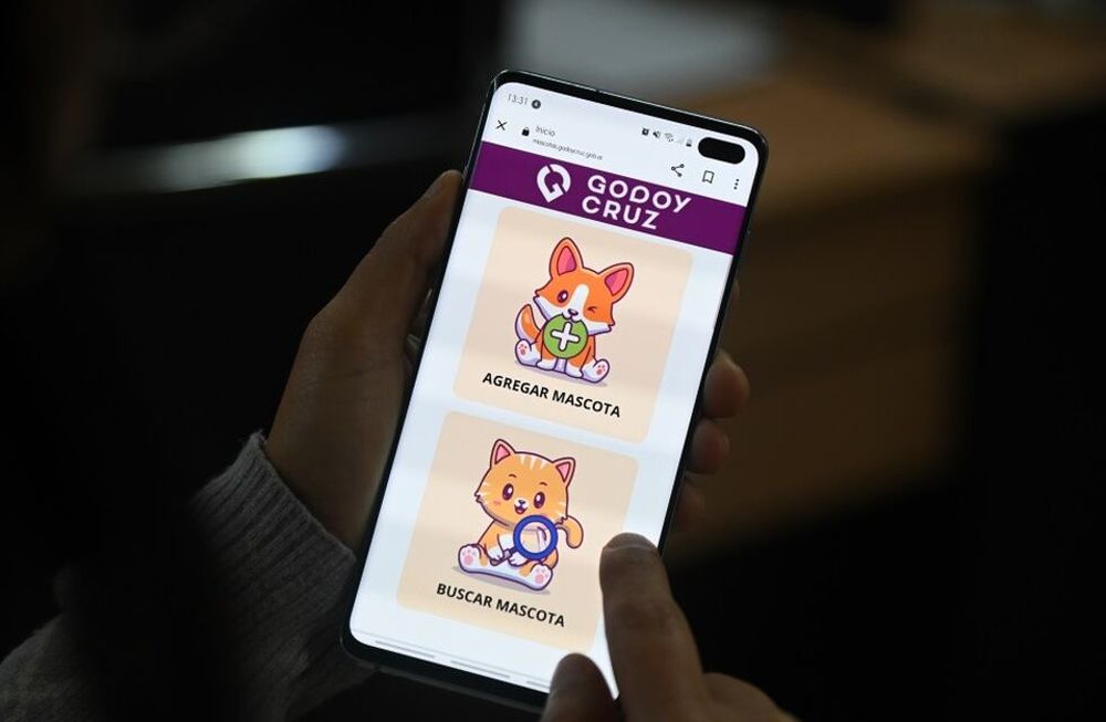 Tenencia responsable de animales: tomar conciencia para cubrir las necesidades de las mascotas