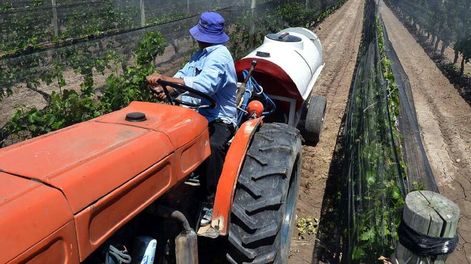 Por un 2019 en que los productores sigamos generando alimentos - Por Carlos Achetoni