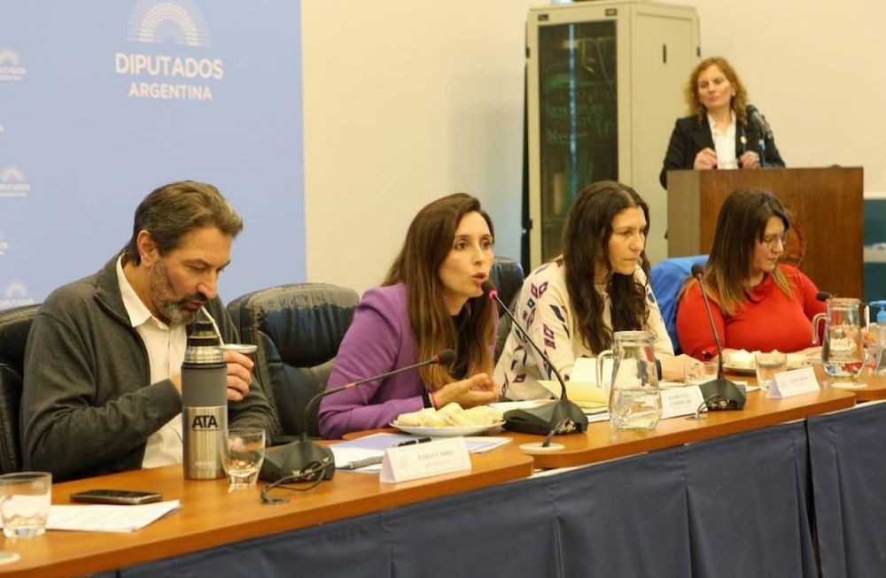 Pablo Carro encabezó el encuentro junto a Florencia Lampreabe y Mónica Macha
