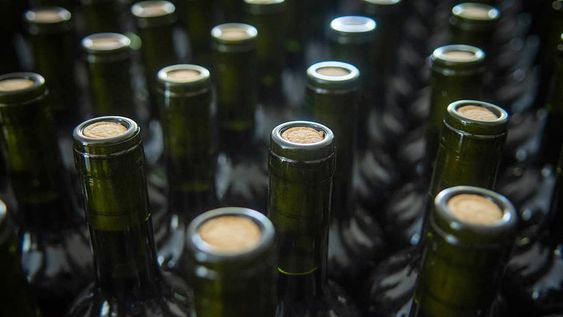 Será la primer intervención realizada por el Banco de Vinos desde que fue creado.