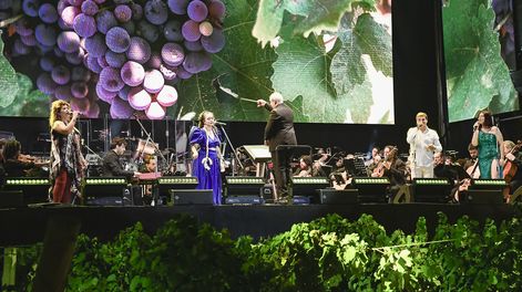 La Fiesta de la Cosecha y otras acciones de promoción del vino argentino, en riesgo por la eliminación del aporte obligatorio a la Coviar