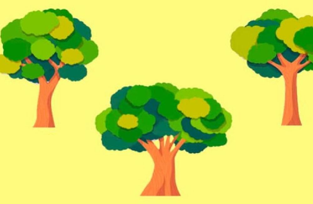 Dependiendo que árbol destaques, sabrás si tu sinceridad es como crees.