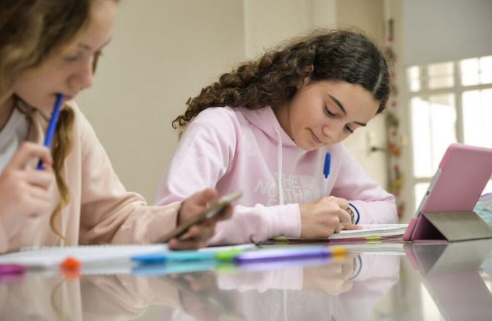 Estudiar en casa y con clases virtuales fue una costumbre que se instaló en cuarentena.