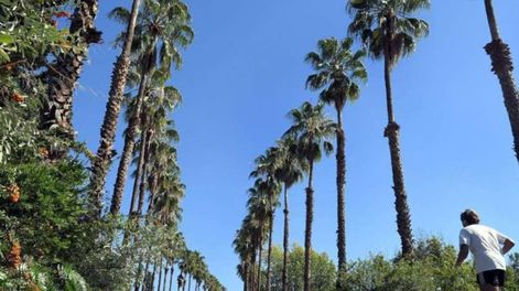 Pronóstico del tiempo: ascenso de la temperatura en Mendoza. Foto: Orlando Pelichotti