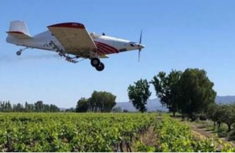 Comienza la última etapa del operativo de control de la polilla de la vid