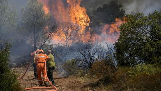 Miles de evacuados en la Costa Azul de Francia por incendio forestal. Gentileza / www.eluniversal.com