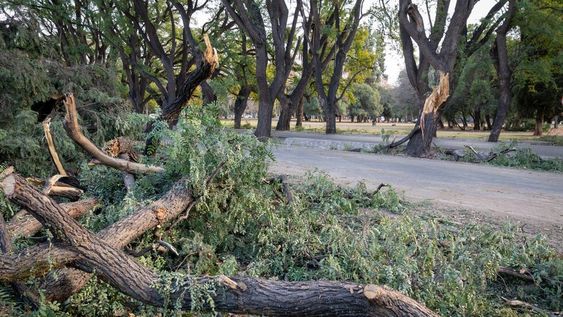 Foto: Ignacio Blanco / Los Andes