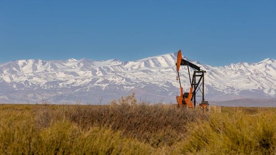 Mendoza no cuenta con ninguno de los sectores que potenciaron la economía de Argentina en 2025
