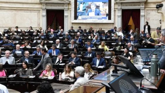 Se dio media sanción a regularización de la tenencia legítima de armas y la prórroga del Programa Nacional de Entrega Voluntaria de Armas de Fuego. Foto: Ámbito