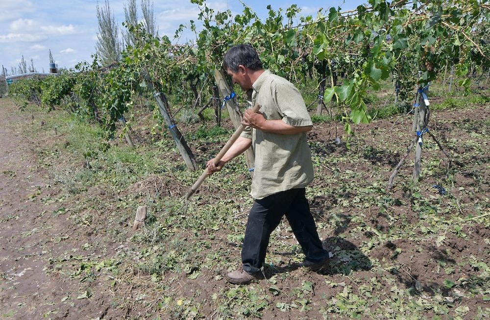 Para esta primavera y verano se esperan no sólo más lluvias, sino tormentas de granizo por encima de lo normal. Foto: Orlando Pelichotti / Los Andes