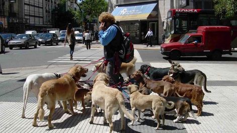 Mitos: el mejor amigo del hombre