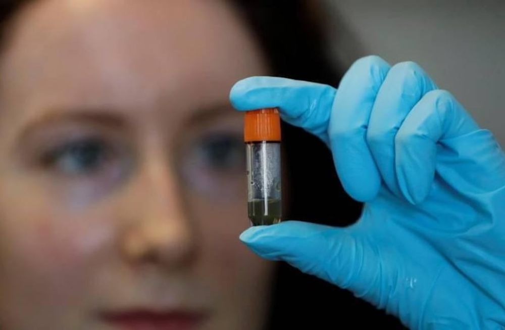 MUJERES. Cada vez son más las mujeres que participan en la investigación científica, pero la equidad de género aún dista mucho de ser equitativa.
