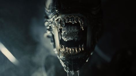 Los Andes | El xenomorfo en Alien: Romulus. Foto cortesía de 20th Century Studios. © 2024 20th Century Studios. All Rights Reserved.