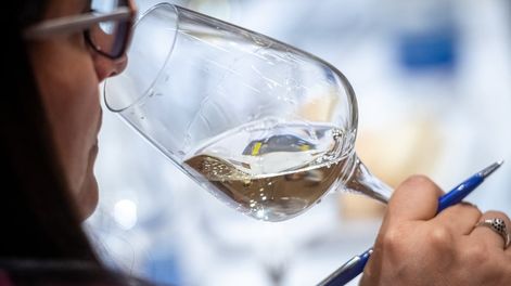 El Sauvignon Blanc 2024 de Vino El Raro obtuvo Medalla Gran Oro en el Concurso Guarda14.