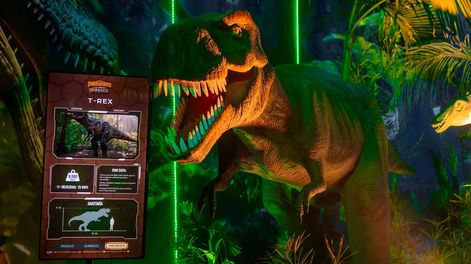 Murió una mujer embarazada en una exposición de dinosaurios y lograron salvar al bebé