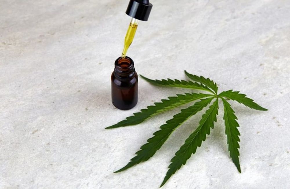 Cannabis medicinal: imputaron a 8 mendocinos de clubes cannábicos y denuncian persecución ideológica. foto: Imagen ilustrativa
