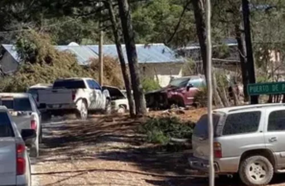 Las lluvias recurrentes ocasionaron el reblandecimiento de la tierra. Por ello, el árbol se desprendió fácilmente. Foto: Ernesto Torres / Facebook