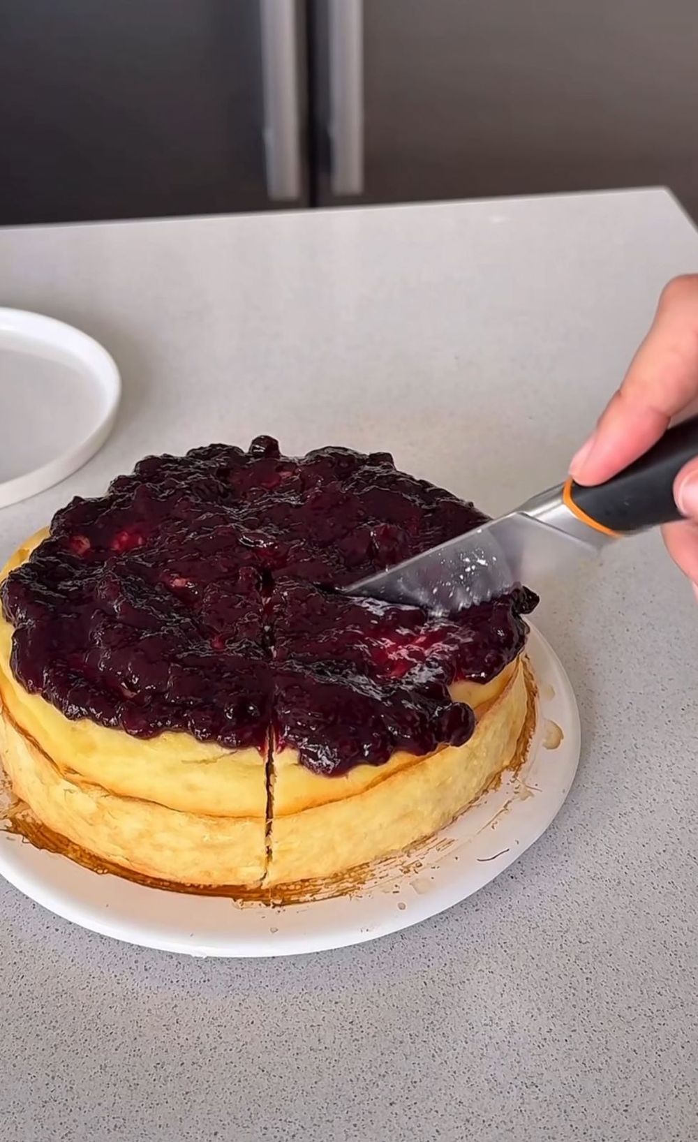 tarta de ricota y limón  (2)