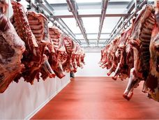 El Gobierno ratificó que siguen las retenciones cero para carnes hasta el 31 de octubre.