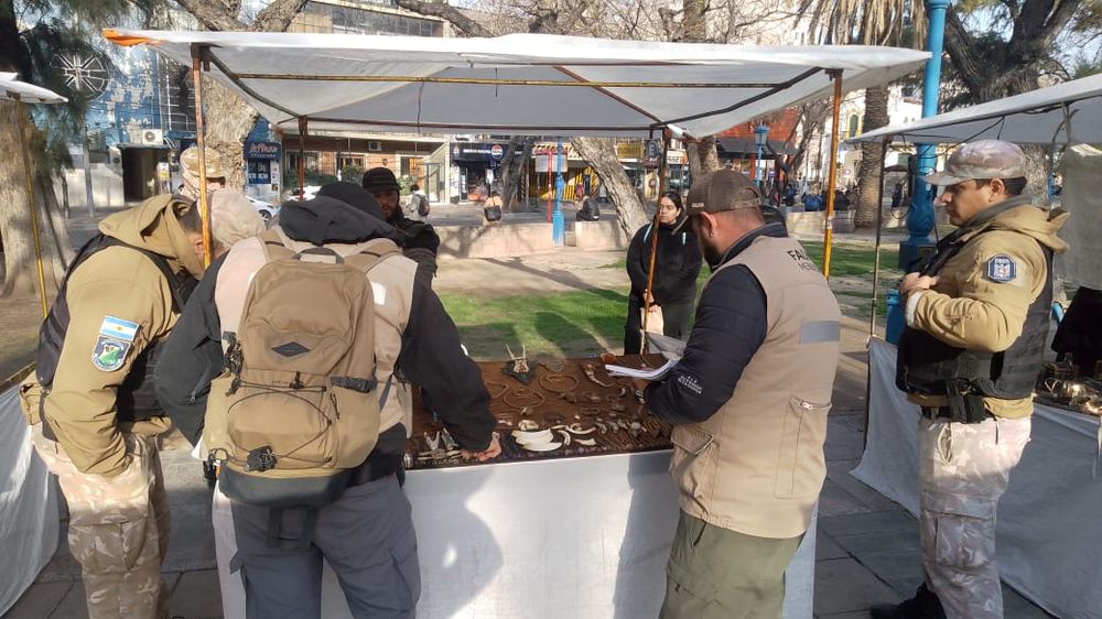 Imágenes tenebrosas: secuestran artesanías hechas con restos de osos hormigueros y otros animales protegidos. Foto: Secretaría de Ambiente y Energía