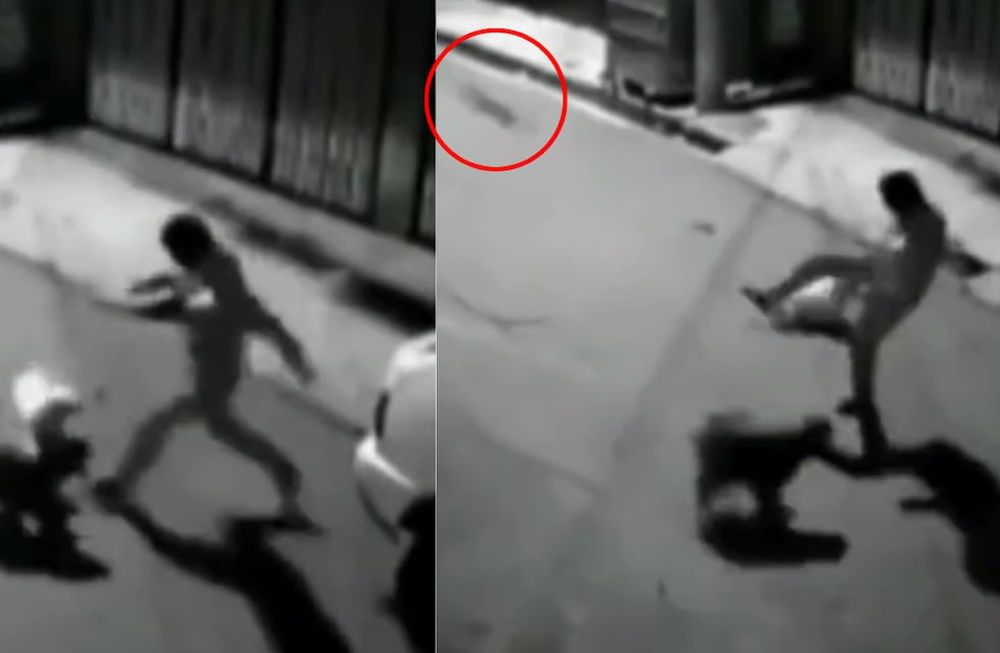 “Con lo fácil que es amenazar con la piedra invisible”, humorizó un usuario. Foto: Captura video