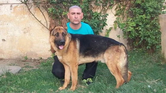 Marcos Herrero, el adiestrador de perros condenado.