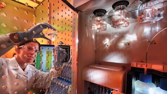 Bayer recibió la aprobación de ANMAT para Larotrectinib, un medicamento innovador para tratar el cáncer