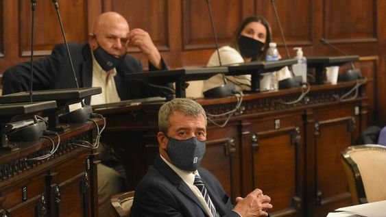 Debate interno. Diputados y senadores del PJ explicarán su postura sobre la reforma de la Constitución ante Anabel Fernández. Foto: José Gutiérrez / Los Andes.