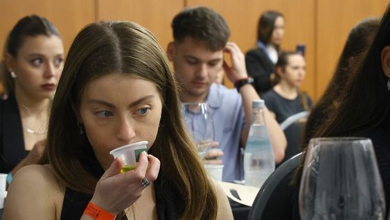 La Ruta del Olivo: Maipú encabeza el nuevo atractivo turístico de la provincia